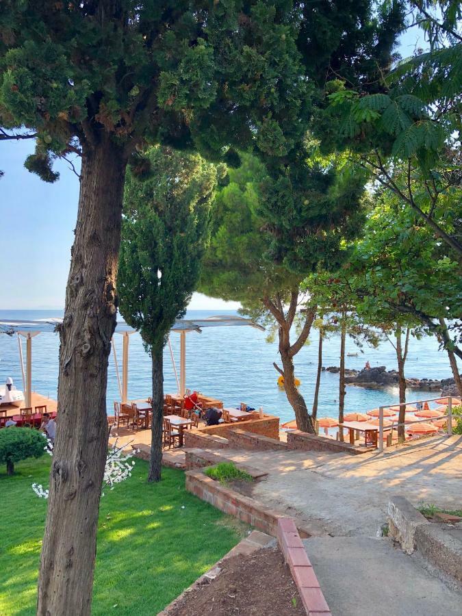 Queen Vasilika Hotel Dhermi Ngoại thất bức ảnh